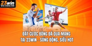 đặt cược bóng đá qua mạng